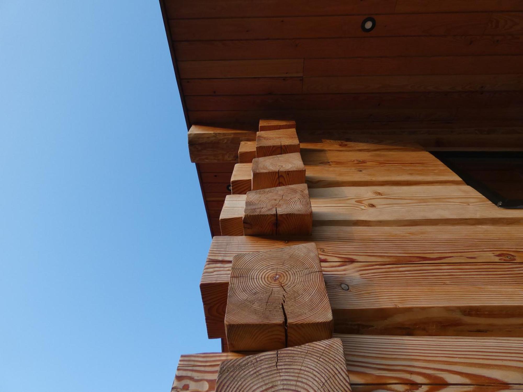 Abergwynant Farm Glamping & Apartments Dolgellau Exterior photo